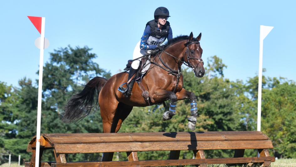 Maverick, OTTB, Jordan Sigmon, dressage, eventing, cross country, competition, Thoroughbred Makeover, ex-racehorse, retired racehorse, training, equestrian, XC, ABR